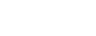 Gemini Logo