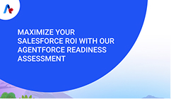 Maximize Your Salesforce ROI