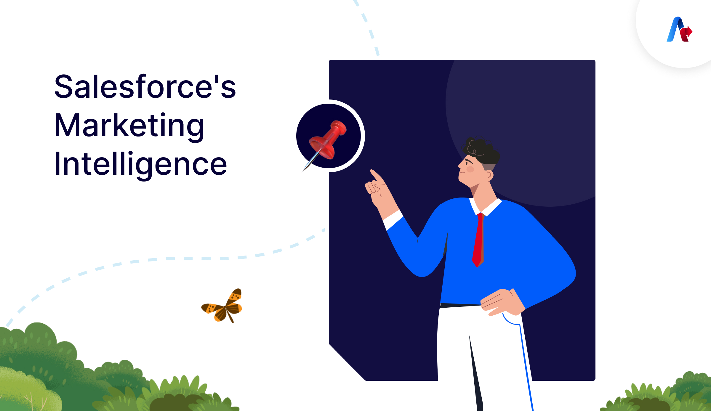Salesforce Marketing Intelligence