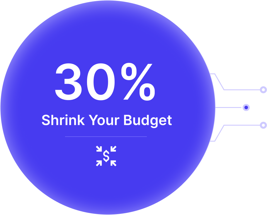Shrink Your Budget